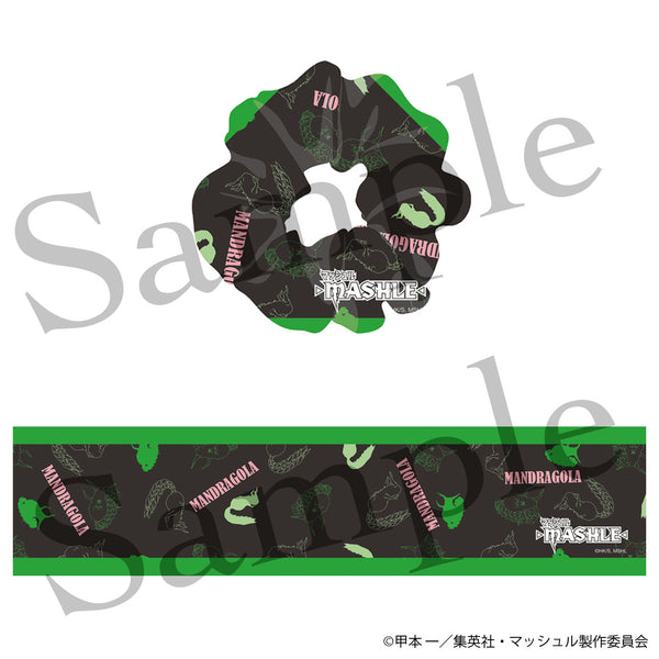 『マッシュル-MASHLE-』シュシュ マンドラゴラ